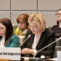 Članice OSCE-a podržale izvještaj Misije u BiH, evropske integracije i osudile postupke iz RS-a
