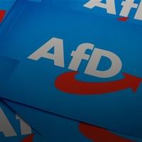 AfD doživio neočekivan poraz na izborima