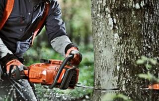 Tragedija u Austriji: Radnika iz BiH usmrtilo drvo