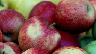 Saudijska Arabija novo izvozno tržište za jabuke iz BiH
