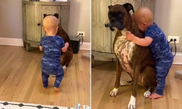 Dječak napravio prve korake kako bi zagrlio psa - Avaz