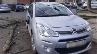 Haos u hrvatskim gradovima: Jak vjetar obarao drveće, uništeni automobili
