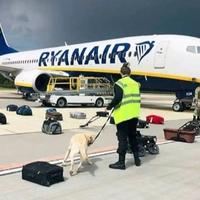 Ryanairov avion prinudno sletio u Atini zbog upozorenja o bombi