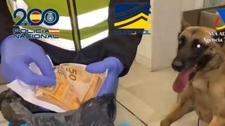 Velika akcija Europola: Razbijen ogranak "Balkanskog kartela", voćarsku kompaniju služili za transport kokaina