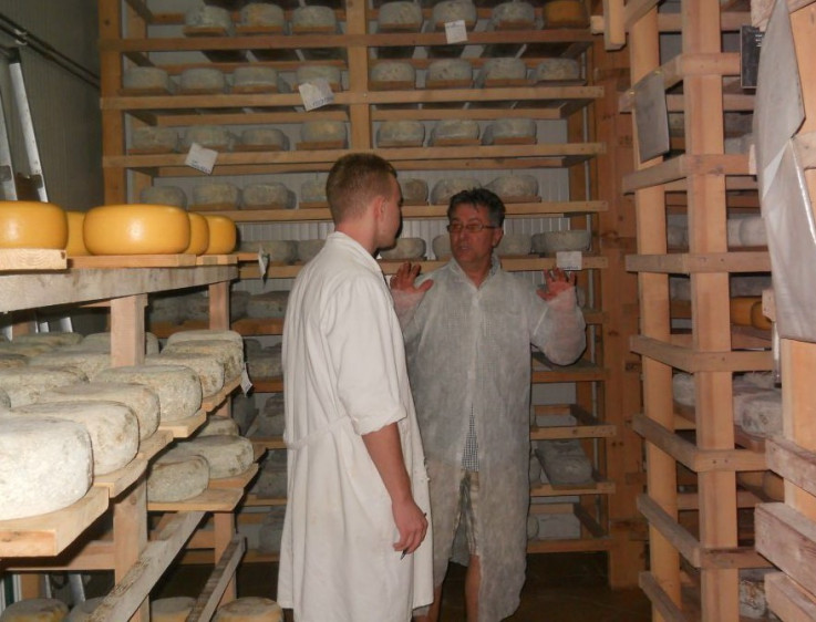 Skladištenje kupreškog sira