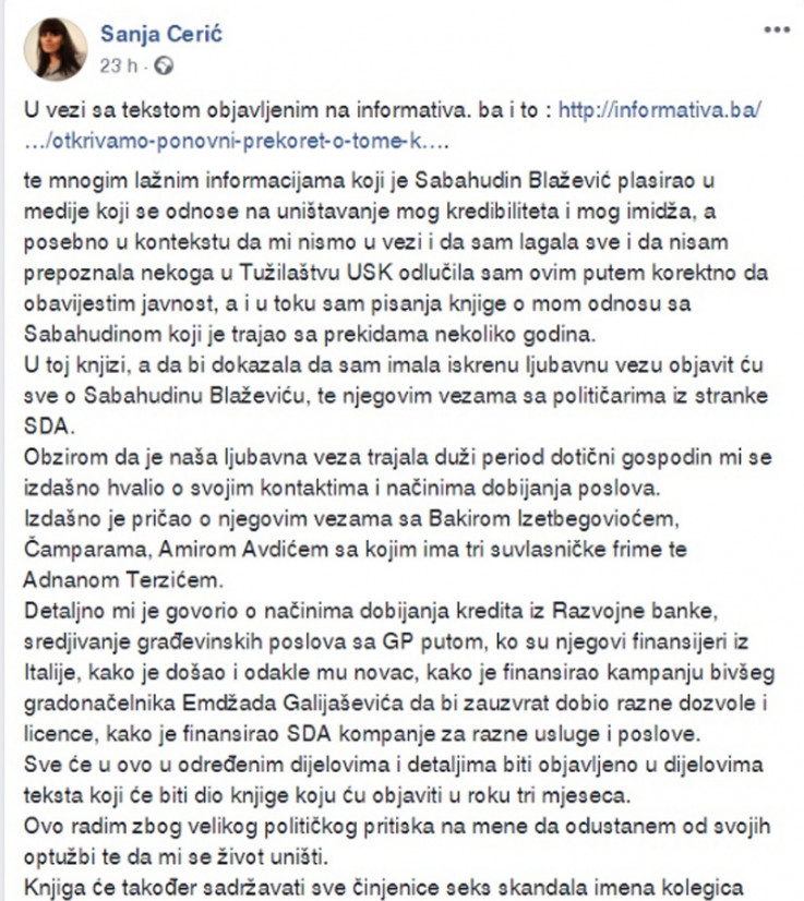 Faksimil internetske stranice Sanje Cerić: Tvrdi da je žrtva političkog pritiska 