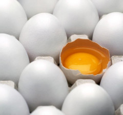 Žumance iz jajeta je prepuno dobrih masti i sadrži čak 18 korisnih vitamina