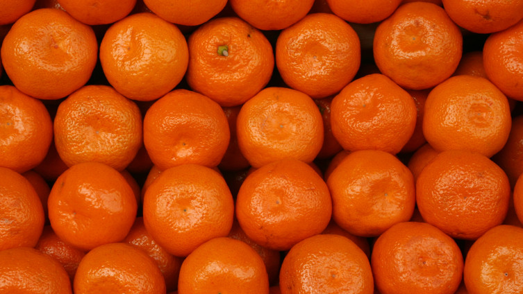 Ovo je treća pošiljka mandarina porijeklom iz Turske kojoj je u protekla dva mjeseca zabranjen uvoz