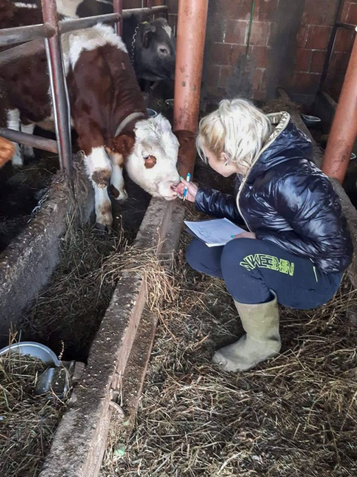 Kao veterinarski tehničar često je i na farmama  - Avaz, Dnevni avaz, avaz.ba