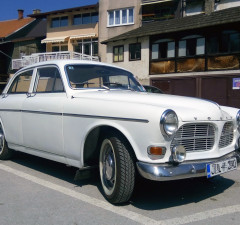 Bijeli ljepotan proizveden 1966. godine