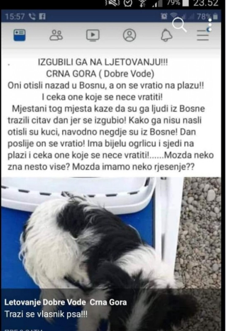 Objava na Facebooku - Avaz, Dnevni avaz, avaz.ba