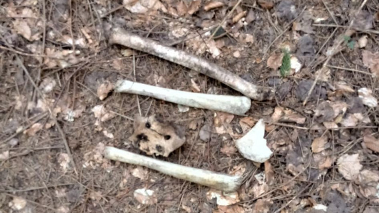 Pronađene kosti