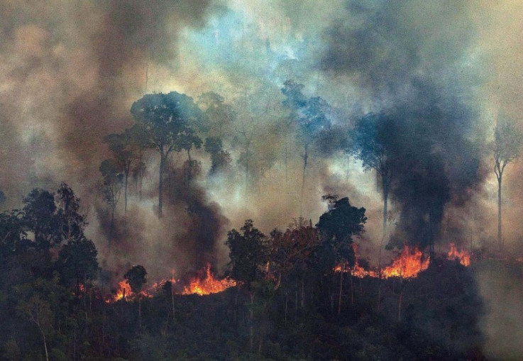 Požari u Amazonu - Avaz, Dnevni avaz, avaz.ba