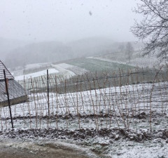 U Novom Travniku počeo padati snijeg