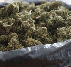 Bosanac uhapšen sa osam kilograma marihuane