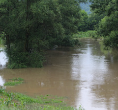 Rijeka Spreča se izlila na nekoliko mjesta