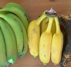 Spriječiti da banane brzo truhnu