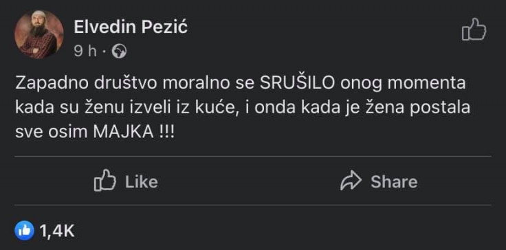 Komentar Elvedina Pezić
