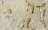 Otkriveni prastari otisci stopala