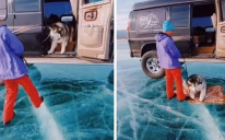 Pas se iznenadio kad je ugledao led