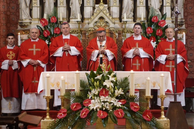 Kardinal Puljić predvodio Misu za progonjene kršćane