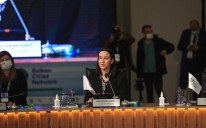 Karić: Učestvovala na samitu održanom u Istanbulu