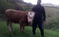 Uzgajivač bikova Almin Kolić osuđen na devet godina zatvora zbog ubistva amidže Redžiba