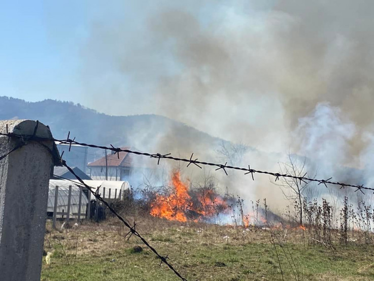 Vatra zahvatila i žbunje