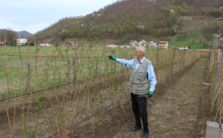 Avdagić u svojoj plantaži 