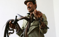 Jordanac 33 godine u kući živi sa zmijama
