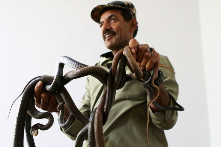Jordanac 33 godine u kući živi sa zmijama