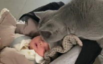 Upoznavanje mačke i bebe