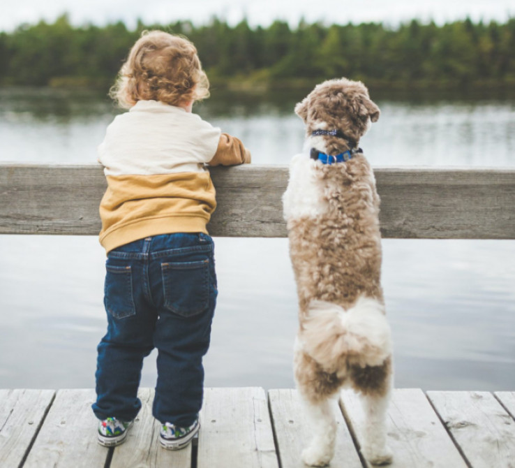 Važno je da roditelji nauče svoju djecu kako pravilno komunicirati sa psima
