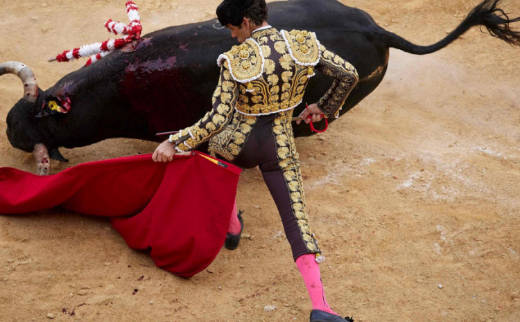 Otkazana borba bikova u Meksiko Sitiju