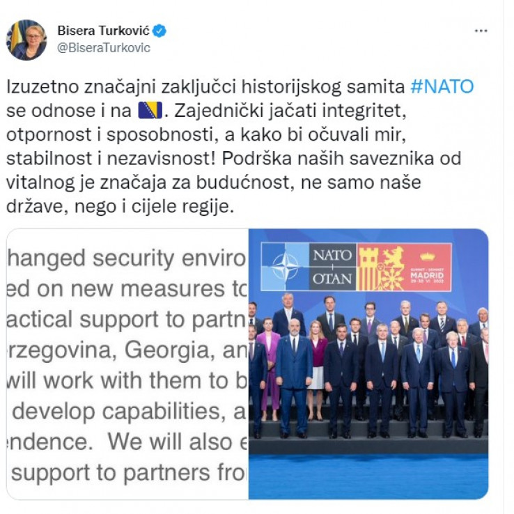 Tvit Bisere Turković