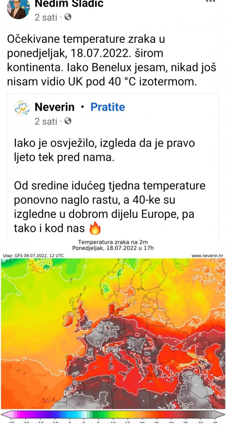 Facebook status Nedima Sladića