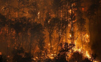 Požar nazvan "McKinney" je od petka progutao više od 522.662 hektara sušom isušena drveća