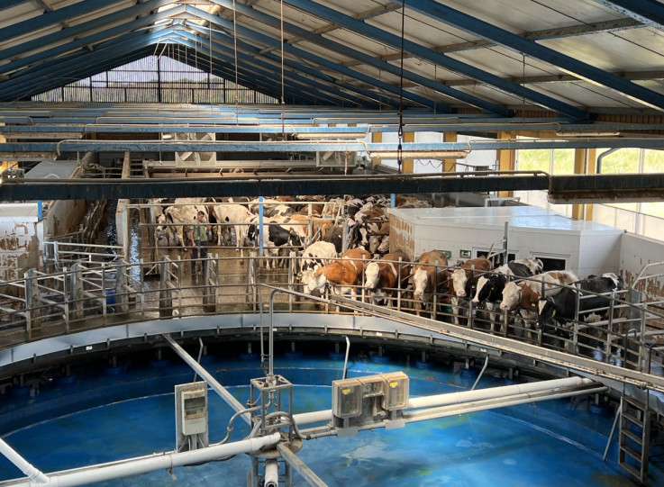 Farma „Spreča“ proizvodi visokokvalitetno mlijeko