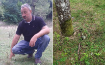 Ervinu Kiselici podmetnuta bomba na njegovom imanju