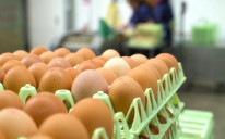 Cijena jaja u porastu